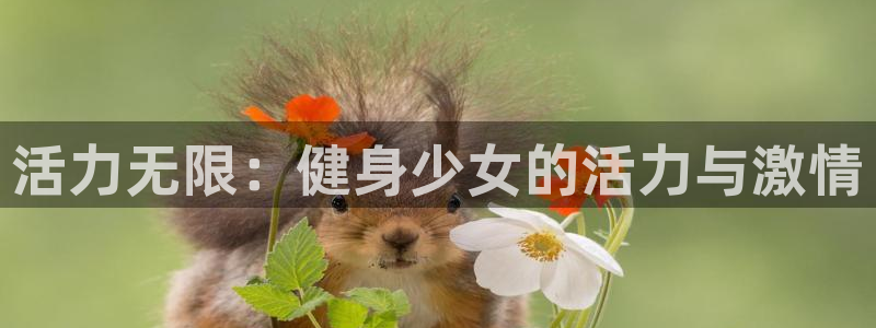 意昂4代理