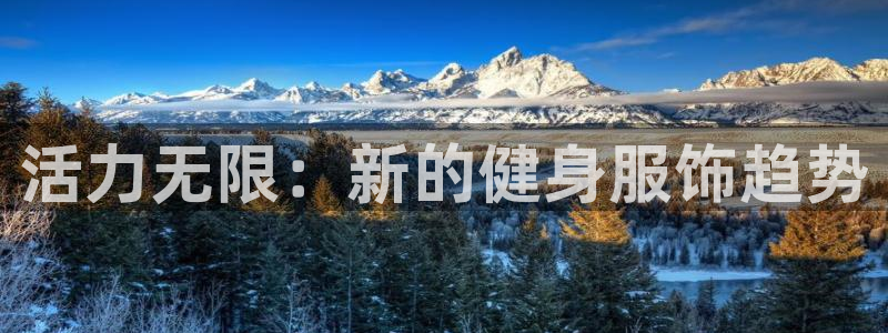 意昂4代理
