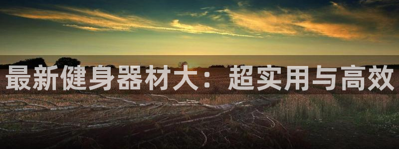 意昂4官网