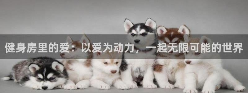 意昂4平台
